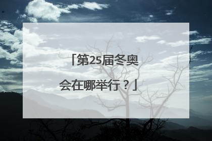 第25届冬奥会在哪举行？