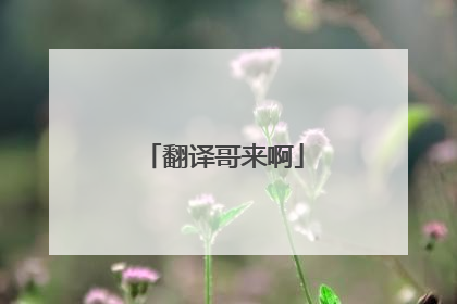 翻译哥来啊