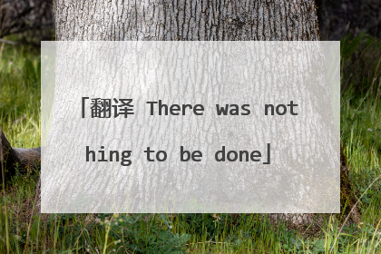 翻译 There was nothing to be done