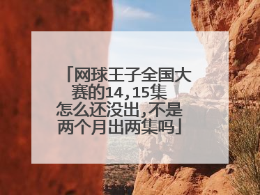 网球王子全国大赛的14,15集怎么还没出,不是两个月出两集吗