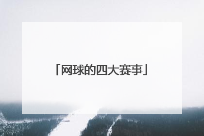 网球的四大赛事