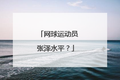 网球运动员张泽水平？