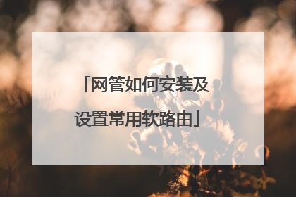 网管如何安装及设置常用软路由