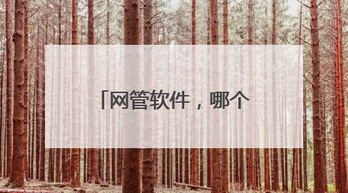 网管软件，哪个比较好用？？