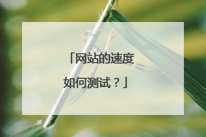 网站的速度如何测试？