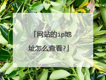 网站的ip地址怎么查看?