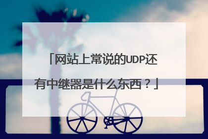 网站上常说的UDP还有中继器是什么东西？