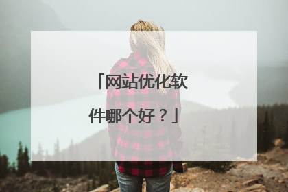 网站优化软件哪个好？