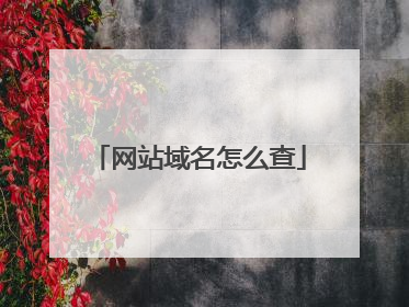 网站域名怎么查