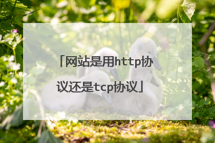 网站是用http协议还是tcp协议