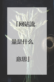 网站流量是什么意思