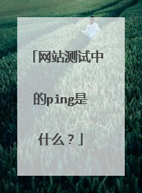 网站测试中的ping是什么?