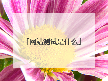 网站测试是什么