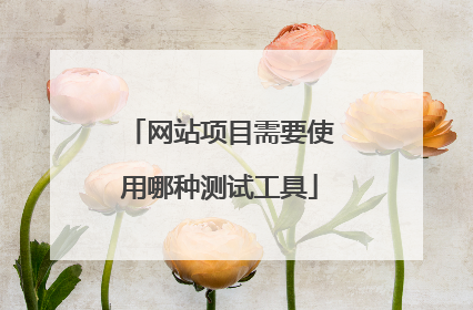 网站项目需要使用哪种测试工具