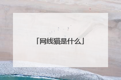 网线猫是什么
