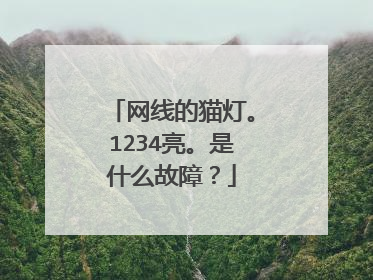 网线的猫灯。1234亮。是什么故障？
