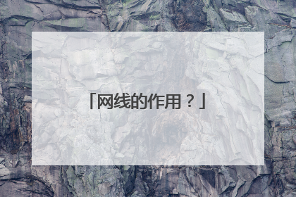 网线的作用?