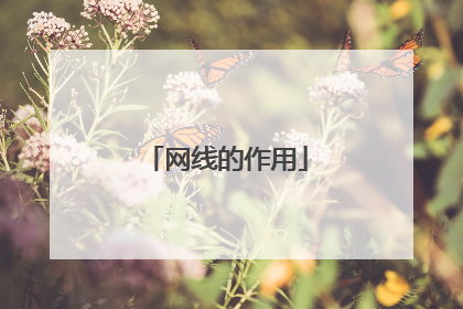 网线的作用