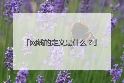 网线的定义是什么?