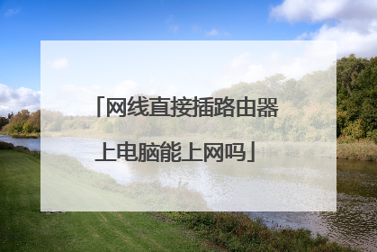 网线直接插路由器上电脑能上网吗