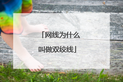 网线为什么叫做双绞线