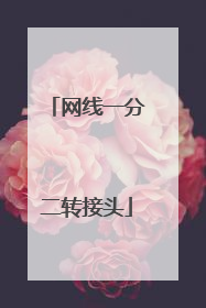 网线一分二转接头