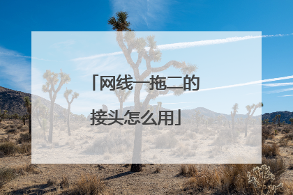 网线一拖二的接头怎么用
