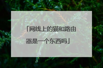 网线上的猫和路由器是一个东西吗