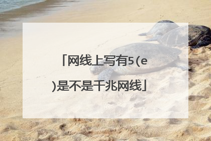 网线上写有5(e)是不是千兆网线