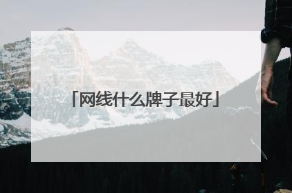 网线什么牌子最好