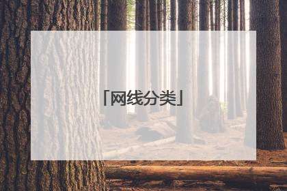 网线分类