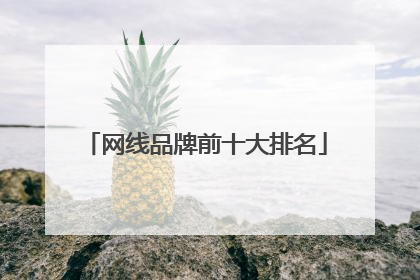 网线品牌前十大排名