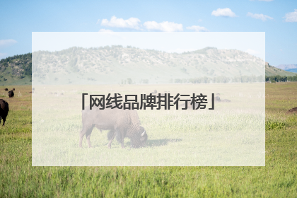 网线品牌排行榜