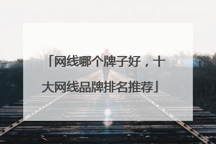 网线哪个牌子好，十大网线品牌排名推荐