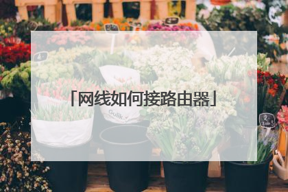网线如何接路由器