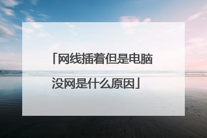 网线插着但是电脑没网是什么原因