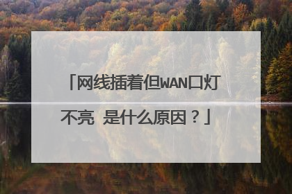 网线插着但WAN口灯不亮 是什么原因？