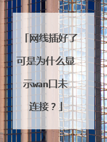 网线插好了可是为什么显示wan口未连接?