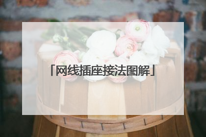 网线插座接法图解