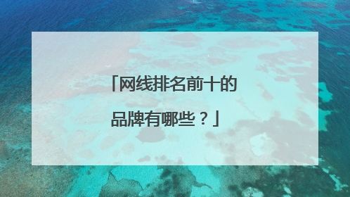 网线排名前十的品牌有哪些？