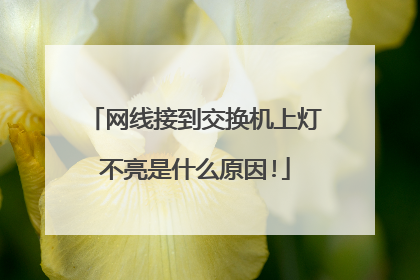 网线接到交换机上灯不亮是什么原因!