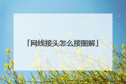 网线接头怎么接图解