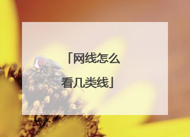 网线怎么看几类线