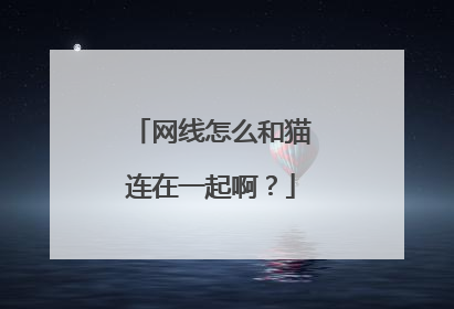 网线怎么和猫连在一起啊？