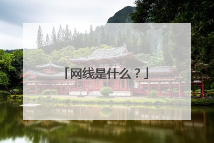 网线是什么？