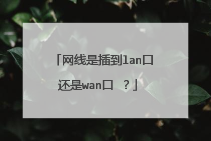 网线是插到lan口还是wan口 ?