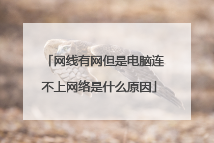网线有网但是电脑连不上网络是什么原因