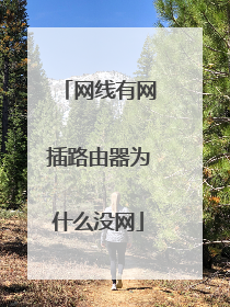 网线有网插路由器为什么没网