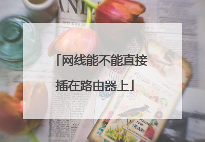 网线能不能直接插在路由器上
