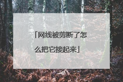 网线被剪断了怎么把它接起来